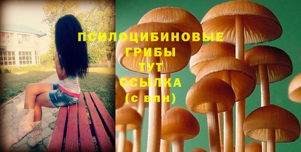Альфа ПВП Заволжск