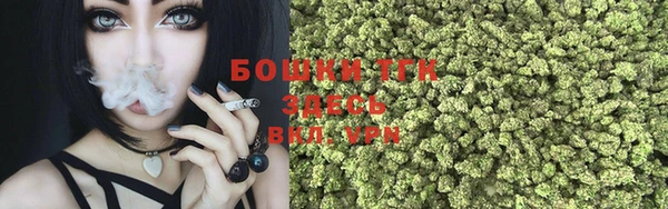 мдма Заводоуковск