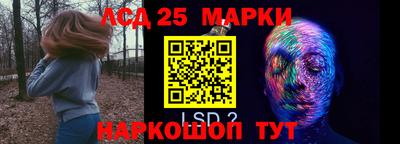 крисы Гагарин