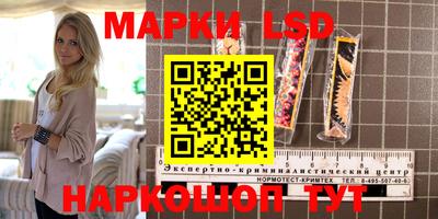 крисы Гагарин