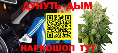 крисы Гагарин