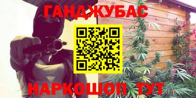 крисы Гагарин