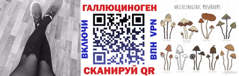 где можно купить   Камень-на-Оби  Галлюциногенные грибы Psilocybe 