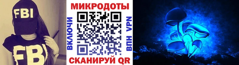 Псилоцибиновые грибы Psilocybine cubensis Камень-на-Оби