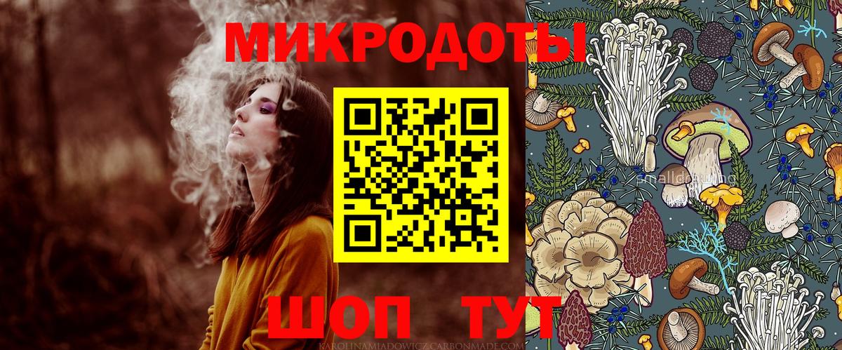 Галлюциногенные грибы Psilocybine cubensis Камень-на-Оби