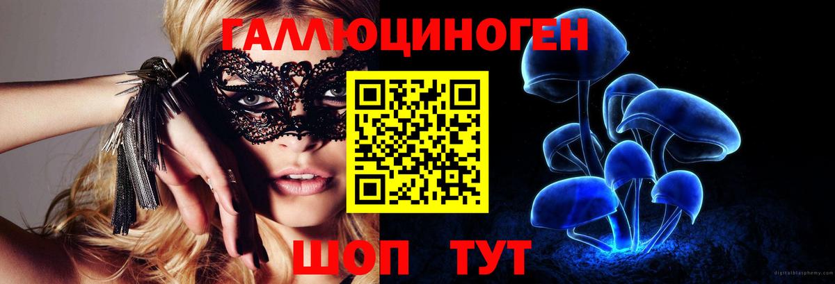 Галлюциногенные грибы мицелий Камень-на-Оби